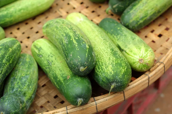 Verse komkommer in de markt — Stockfoto