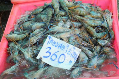 Pazarda taze karides