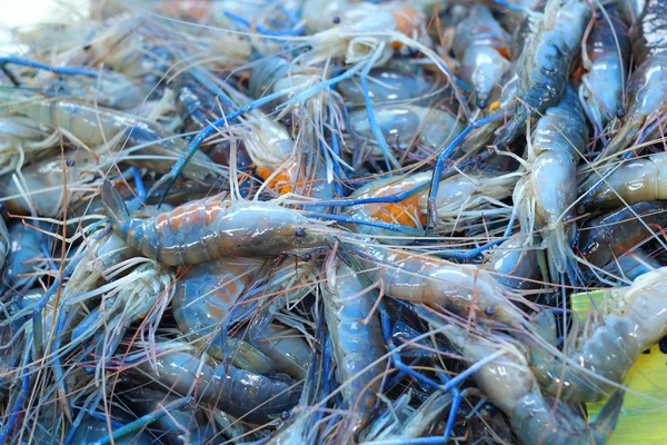 Camarones frescos en el mercado —  Fotos de Stock