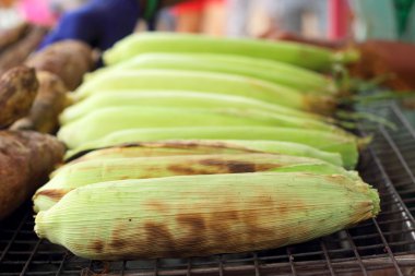 taze mısır ızgara