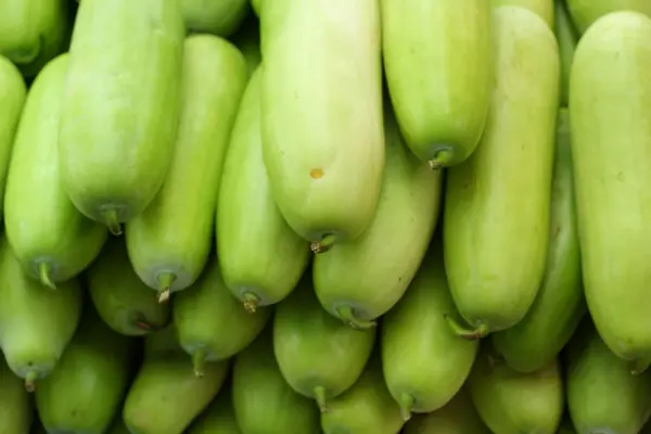 Escotilla verde en el mercado . —  Fotos de Stock