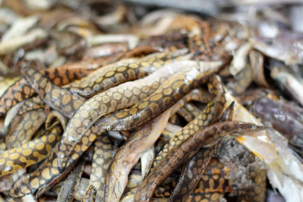 Frischer Fisch - auf dem Markt — Stockfoto