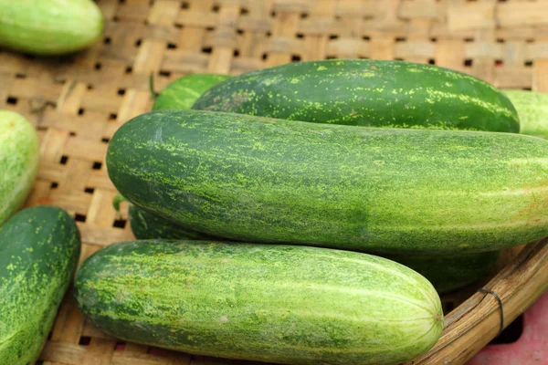 Fresh cucumber in the market — Stock Photo, Image