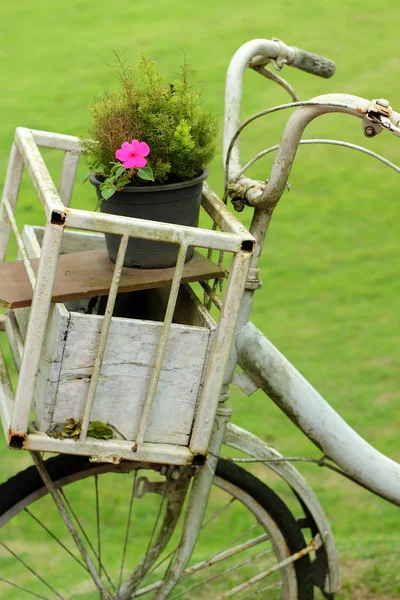 Bicicleta de época en el jardín — Foto de Stock