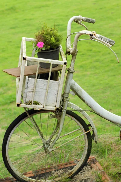 Zabytkowych rowerów w ogrodzie — Zdjęcie stockowe