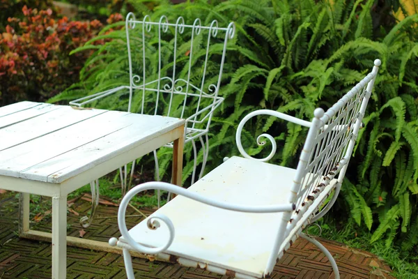 Stoelen in de tuin met de natuur — Stockfoto