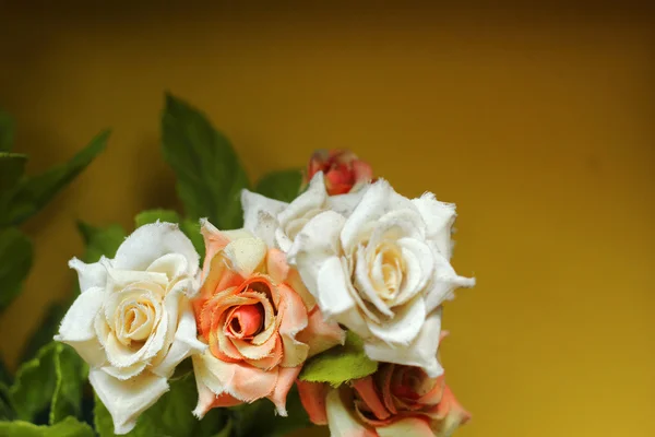 Rosas de la vendimia flor en la naturaleza —  Fotos de Stock