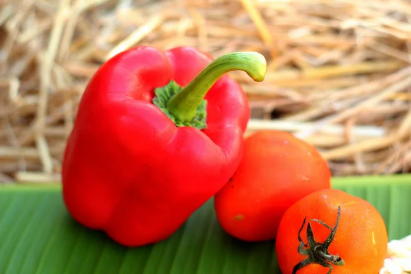 Pimenta vermelha fresca colorida e tomate — Fotografia de Stock