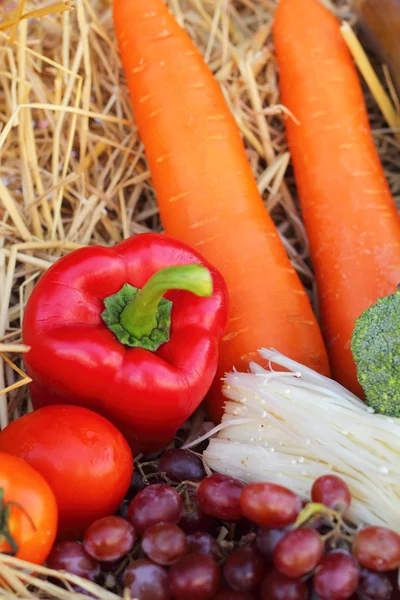 Červená paprika, zelenina a ovoce. — Stock fotografie
