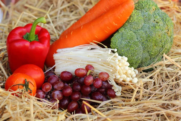 Poivron rouge, légumes et fruits . — Photo