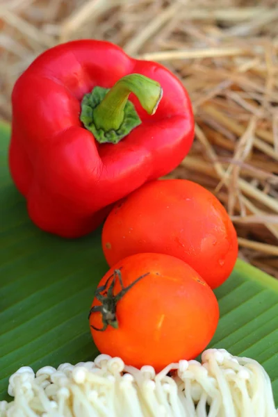 Red bell pepper fresh colorful and tomatoes — Stock Photo, Image