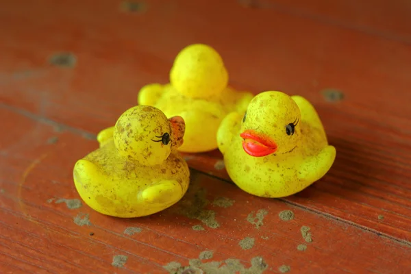 Pato de goma amarillo en grupos —  Fotos de Stock