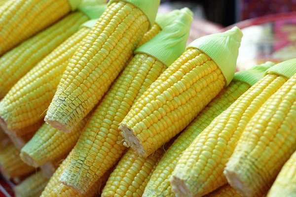 Sweet corn in the market — Stock Photo, Image