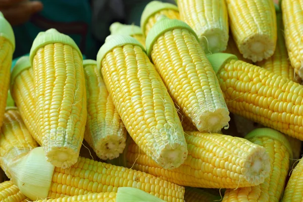 Сладкая кукуруза на рынке — стоковое фото