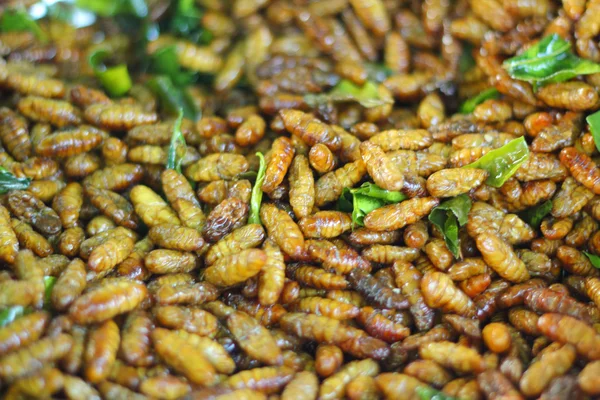 Bichos de seda fritos no mercado — Fotografia de Stock