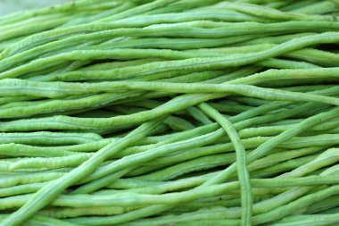 piyasada uzun fasulye