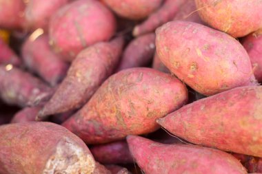Pazarda taze tatlı patates.