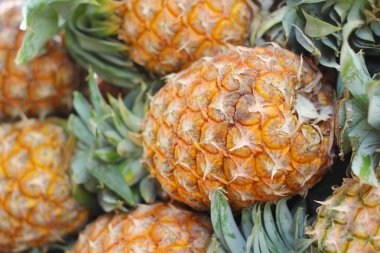 Piyasada taze ananas