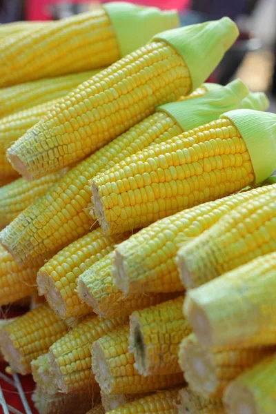 Sweet corn in the market — Stock Photo, Image