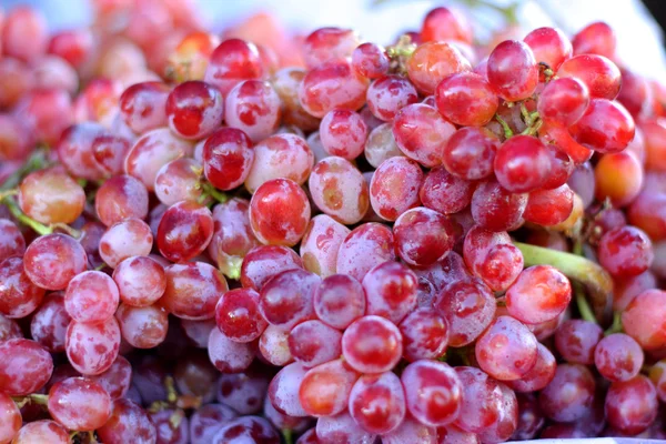 Fresh grapes on the tray — Stock Photo, Image