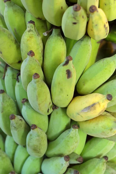 Banana fruit Royalty Free Stock Images