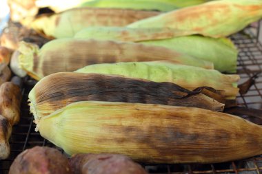 taze mısır ızgara