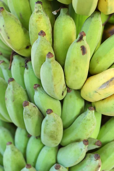 Fruta del plátano —  Fotos de Stock