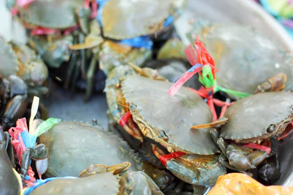 Fresh crab at the market — Stock Photo, Image