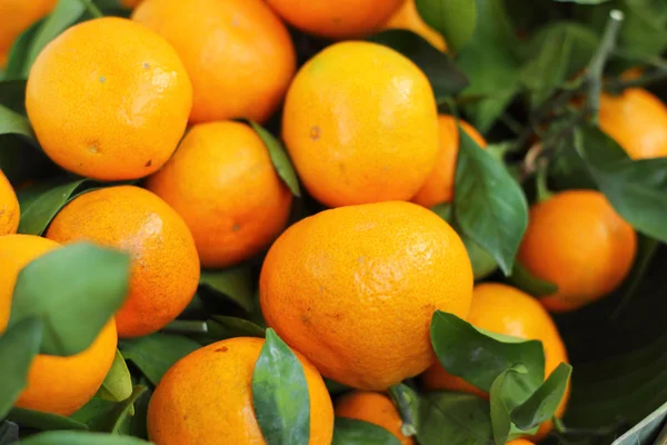 Frutas de naranja en el mercado —  Fotos de Stock