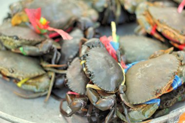 Markette taze Yengeç