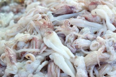 Piyasada taze mürekkep balığı