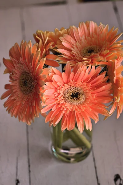 Gerbera kwiaty w słoiku — Zdjęcie stockowe