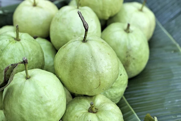 Guava ovoce na trhu — Stock fotografie