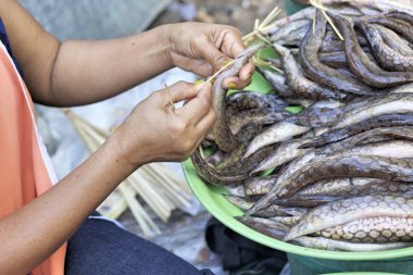 Taze balık - içinde belgili tanımlık çarşı
