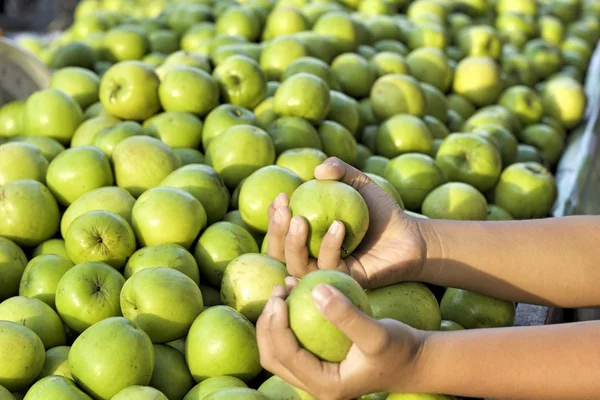 Pommes vertes sur le marché — Photo