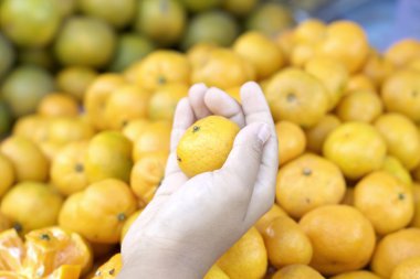 Portakal meyveler piyasada