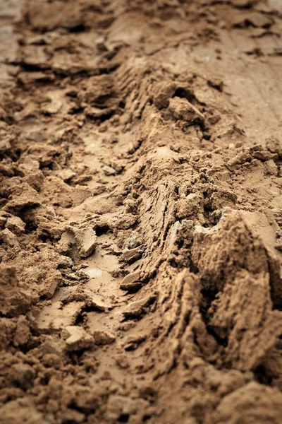 Wielsporen op de grond. — Stockfoto