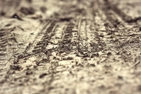 Wheel tracks on the soil. — Stock Photo, Image