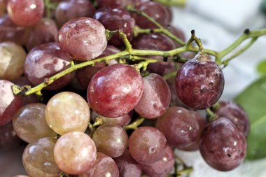 Pazarda taze üzüm.