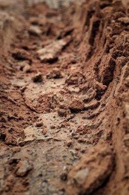 Topraktaki tekerlek izleri.