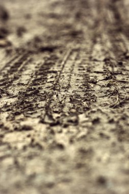 Topraktaki tekerlek izleri.
