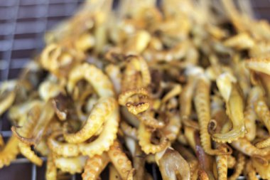 b-Barbekü Izgara kalamar piyasada