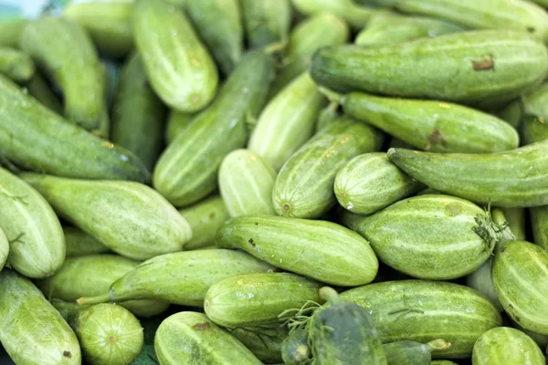 Fresh cucumber in the market — Stock Photo, Image