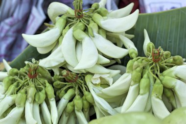 Agasta taze beyaz piyasada