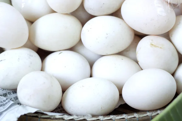 Close up of white eggs — Stock Photo, Image