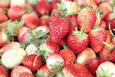 bir sürü taze çilek meyve