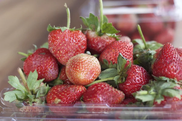 Un montón de fruta fresca de fresa — Foto de Stock