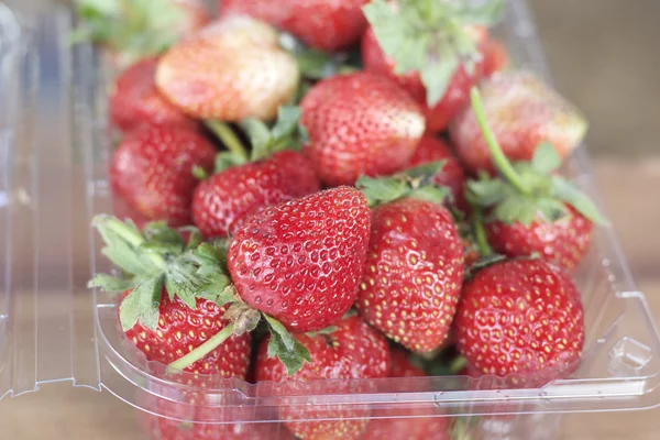 Un montón de fruta fresca de fresa — Foto de Stock