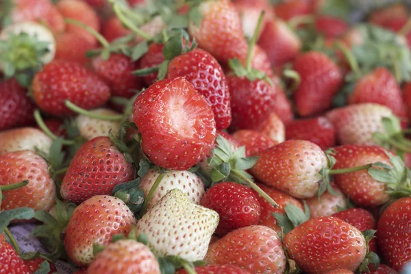 Beaucoup de fraises fraîches — Photo