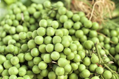 Markette taze patlıcan